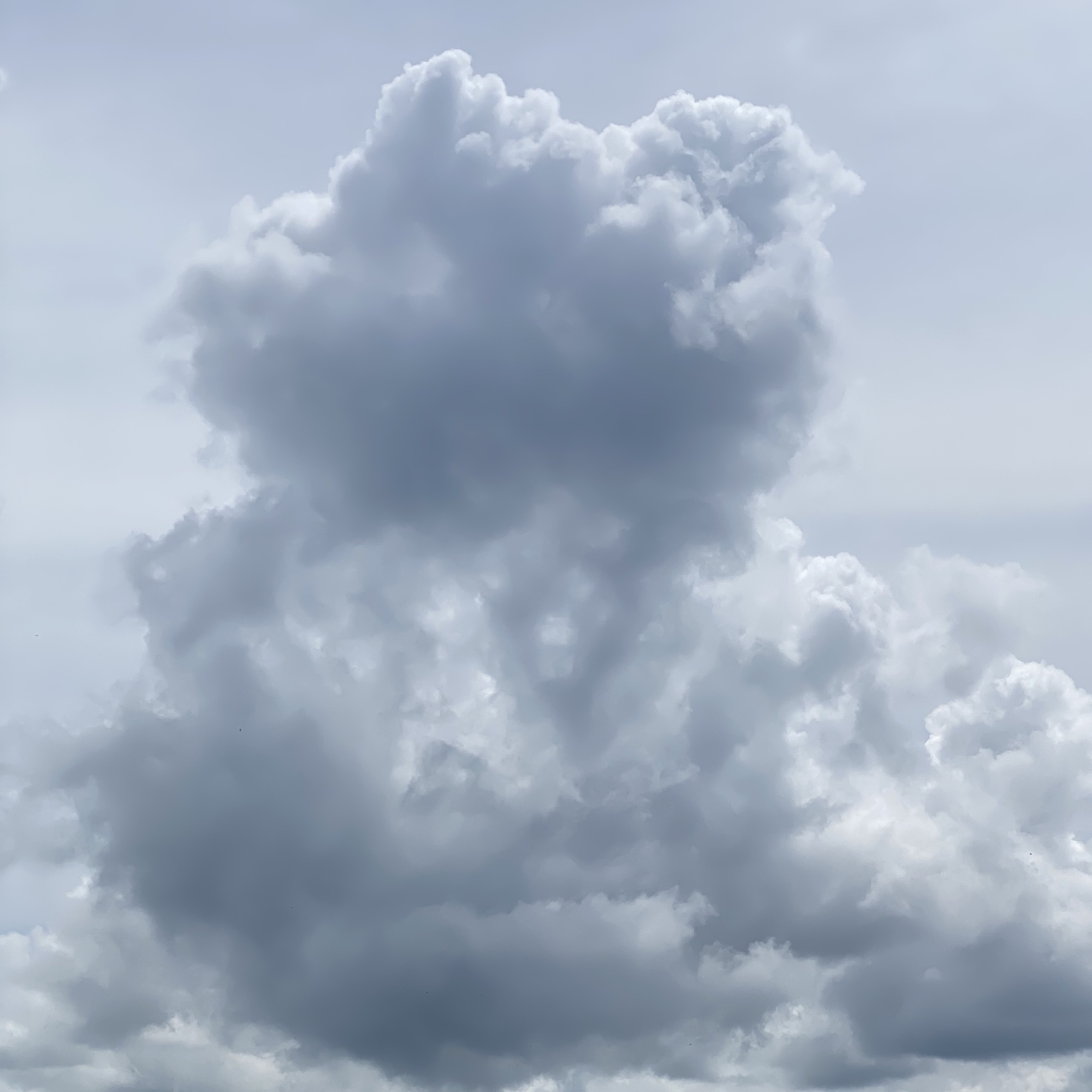 cloud