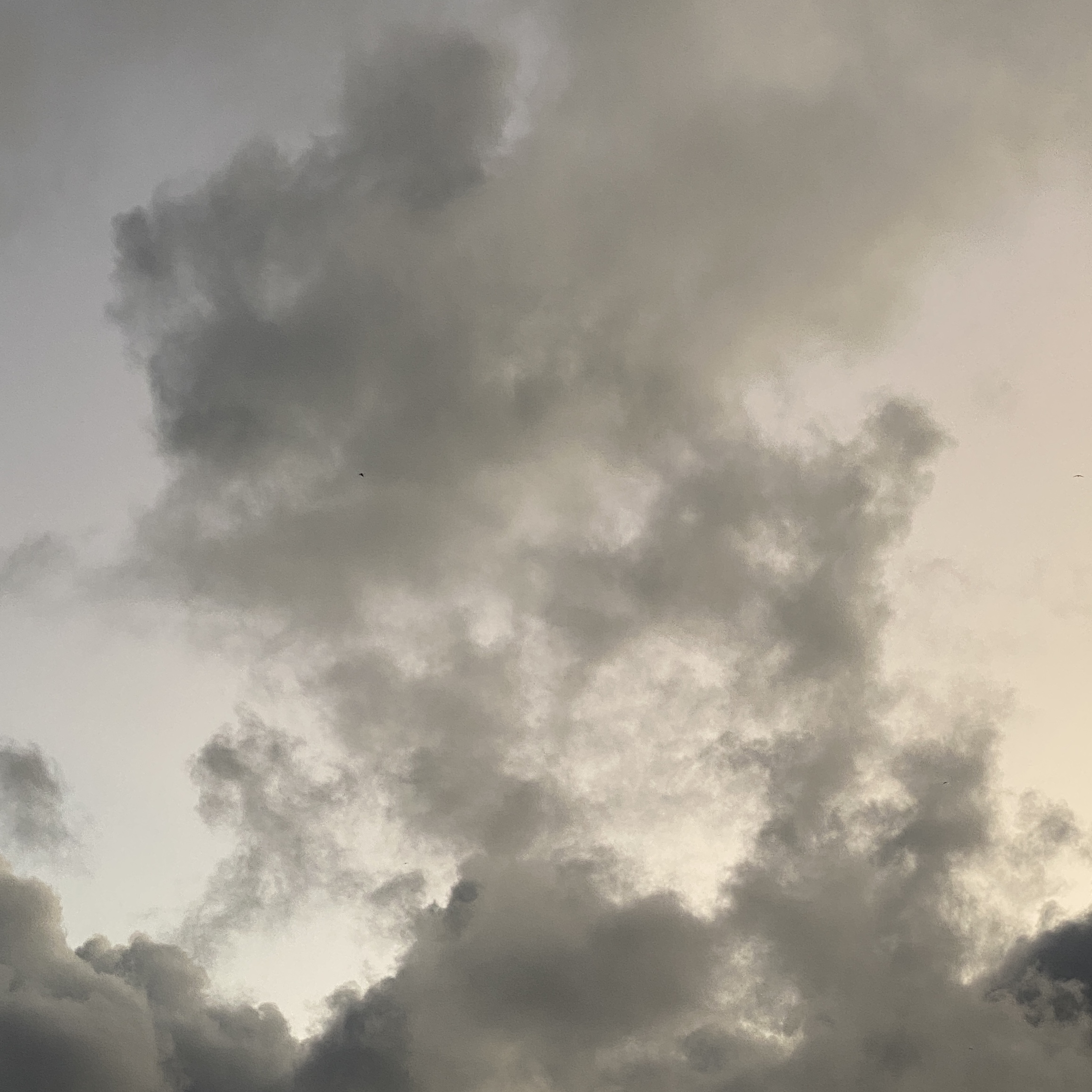 cloud