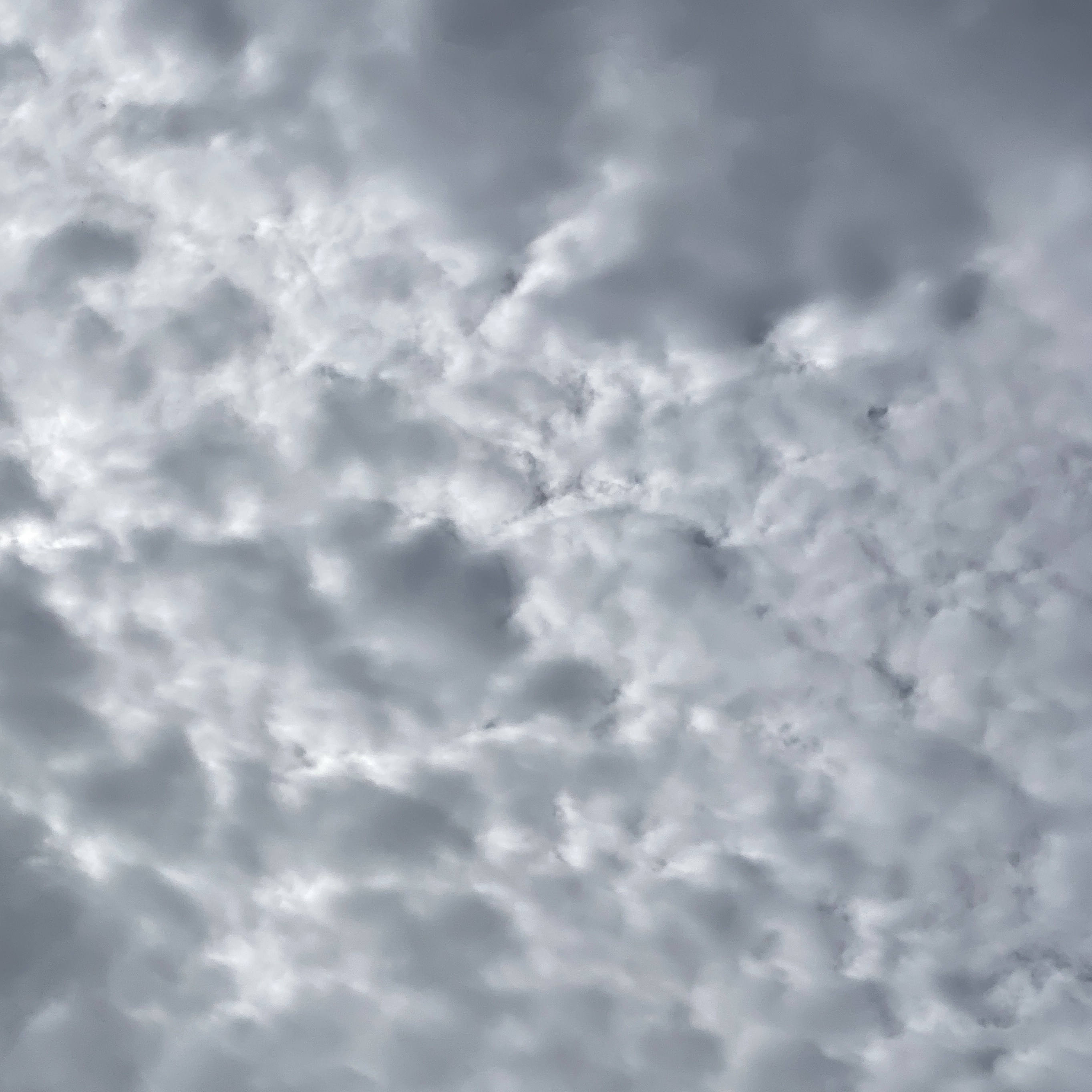 cloud