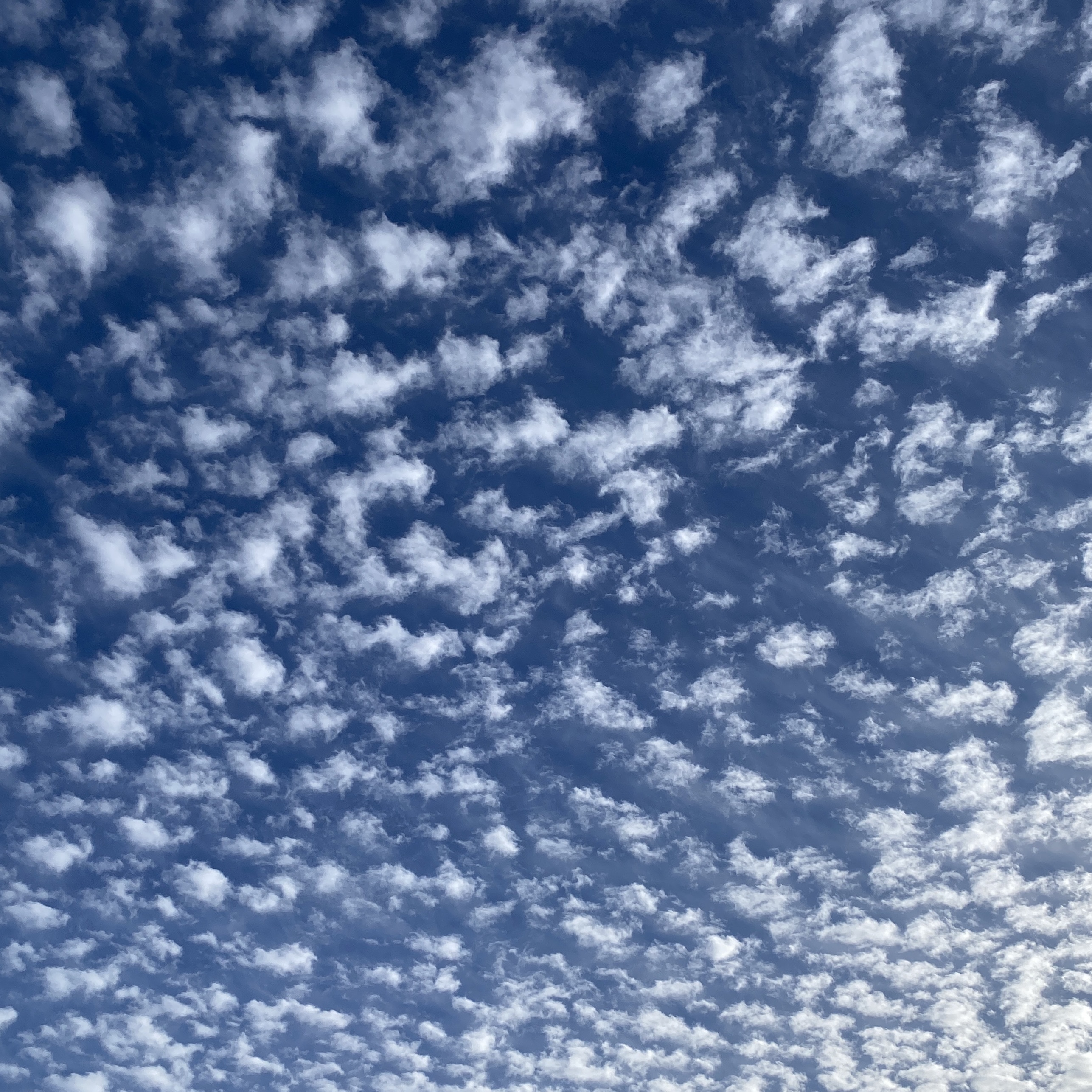 cloud