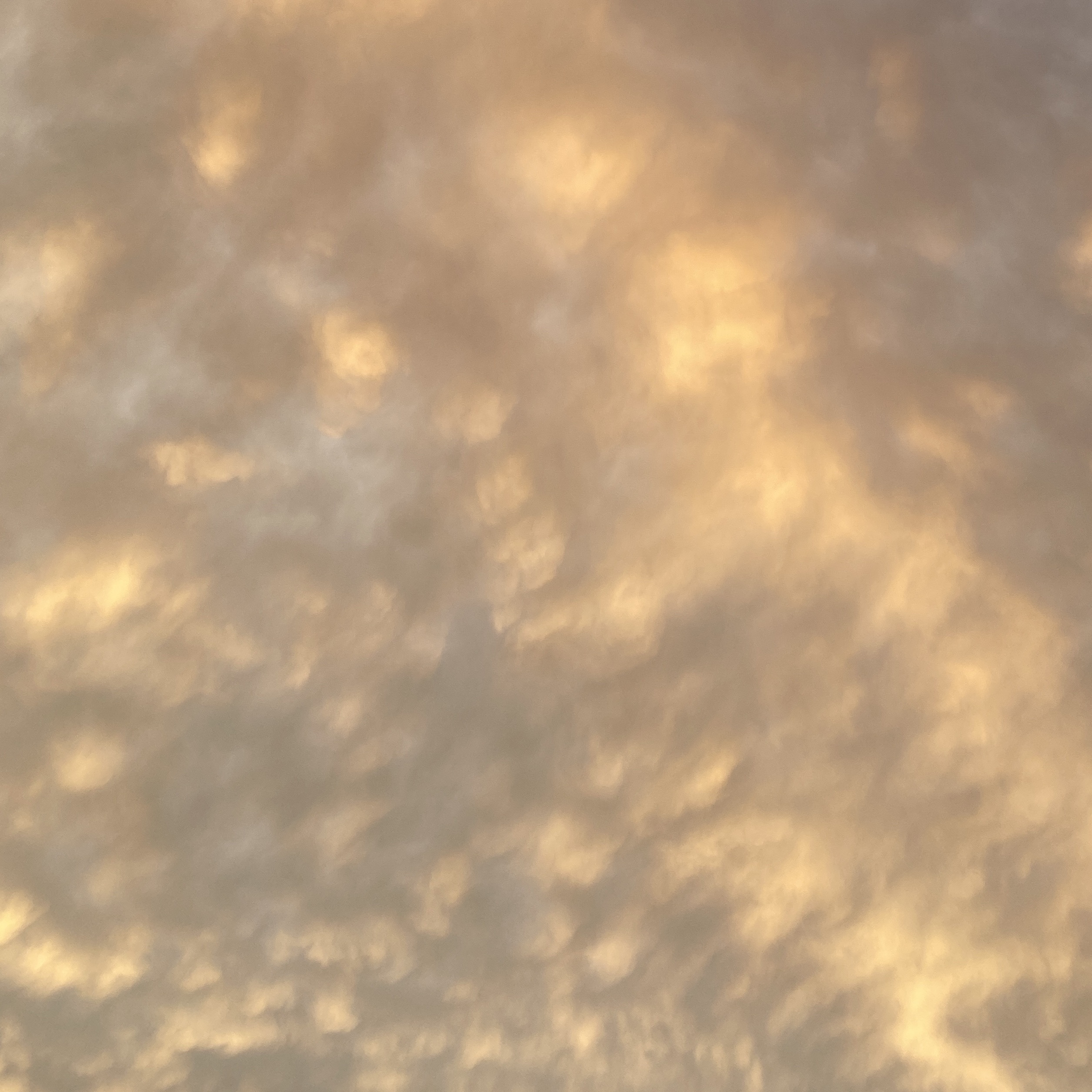 cloud