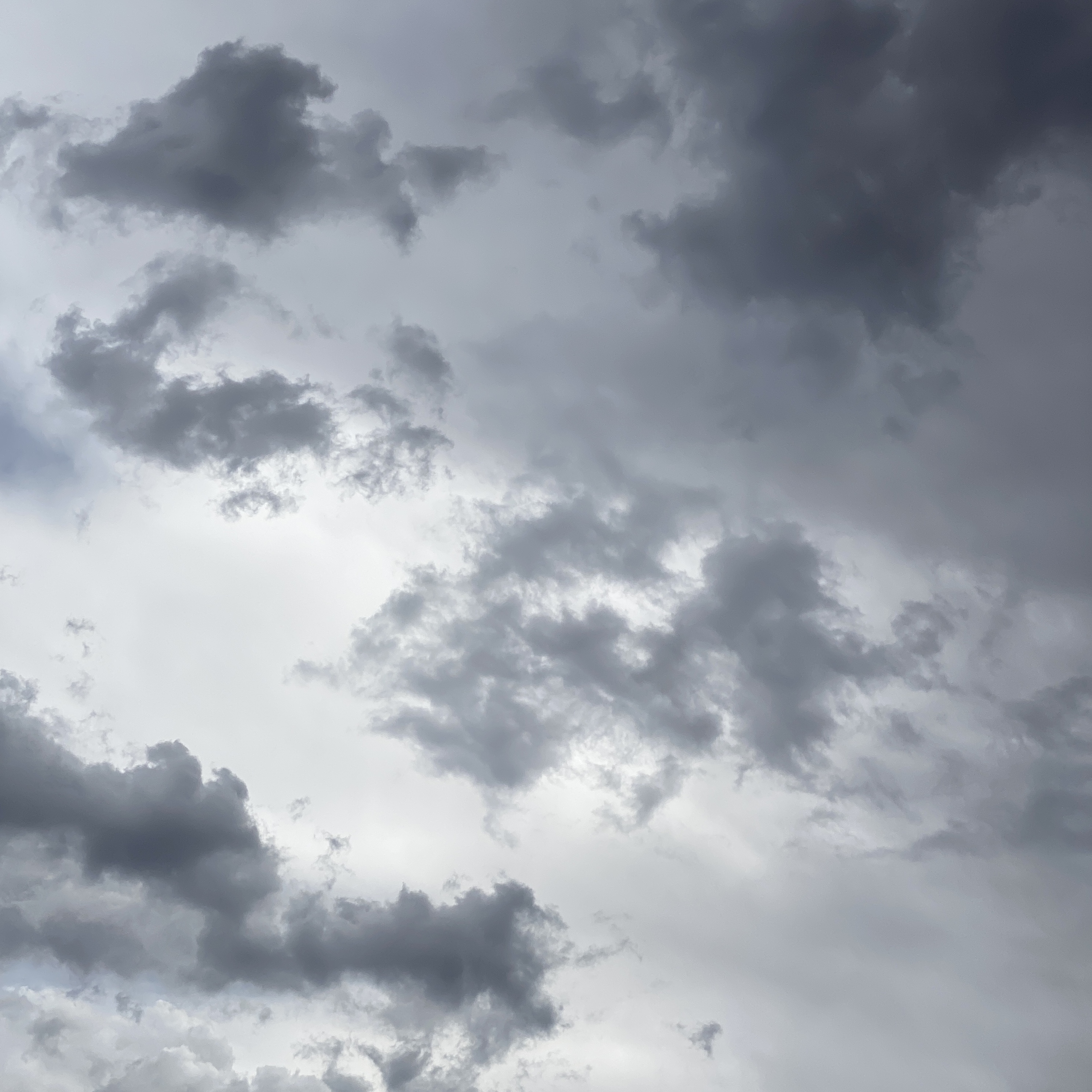 cloud