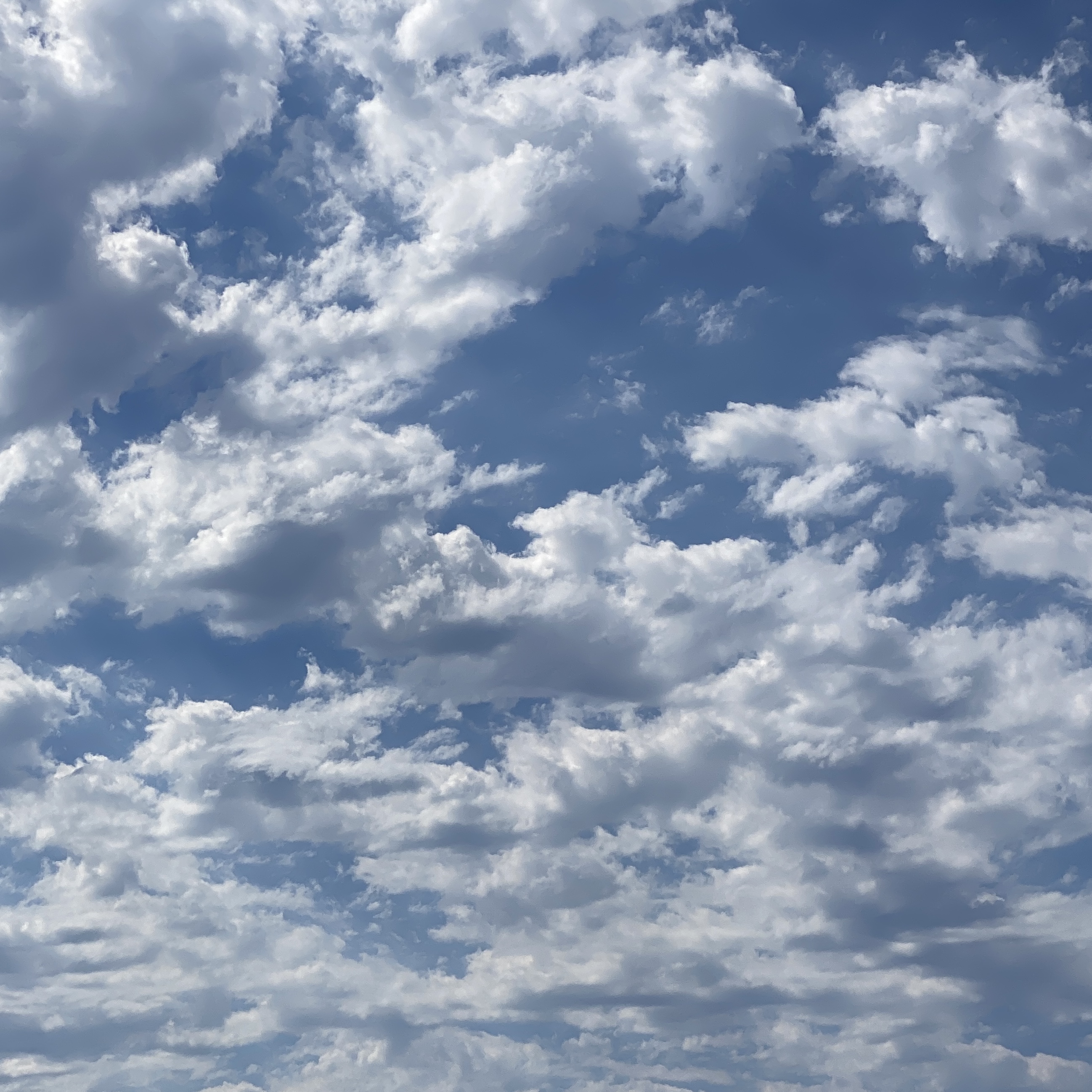 cloud