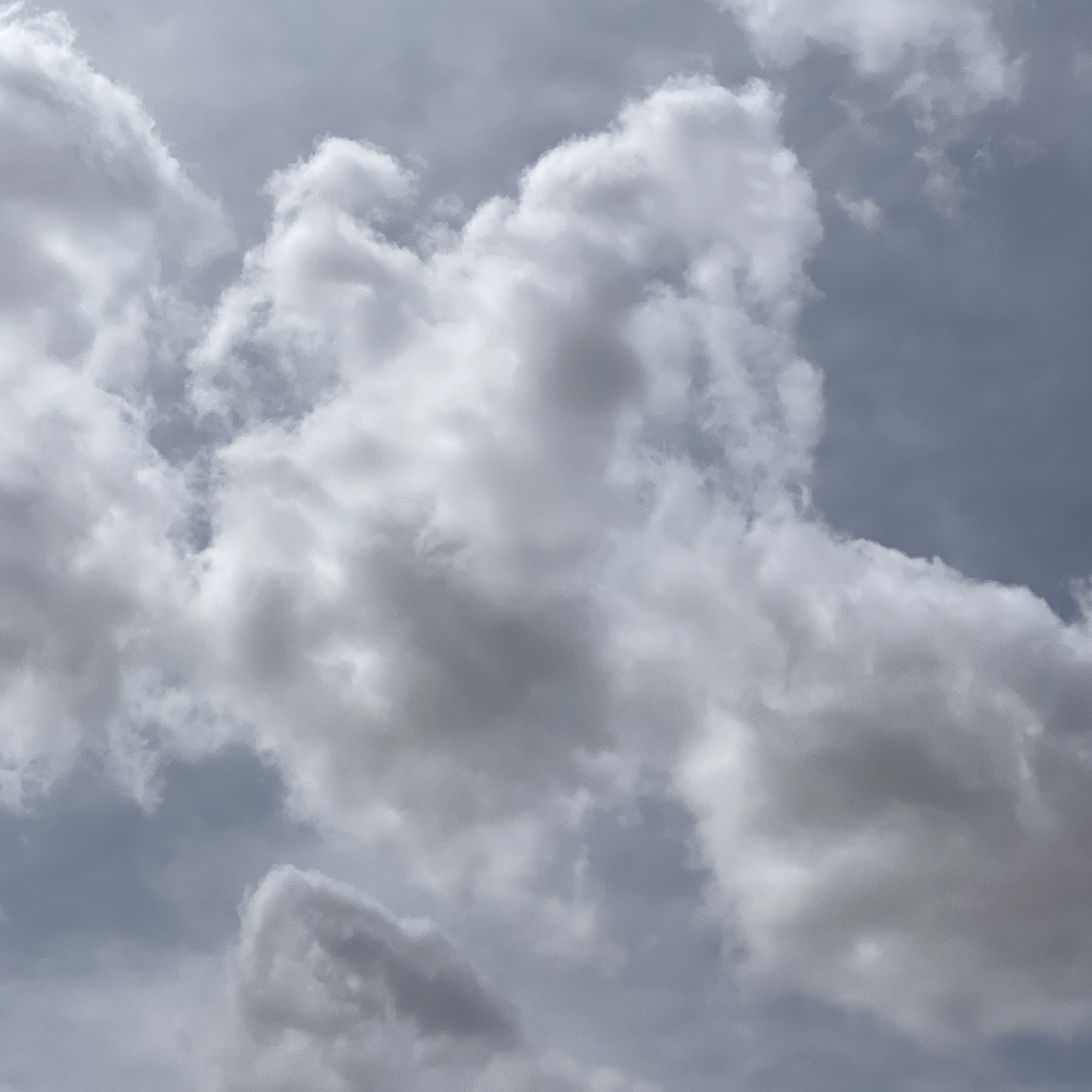 cloud